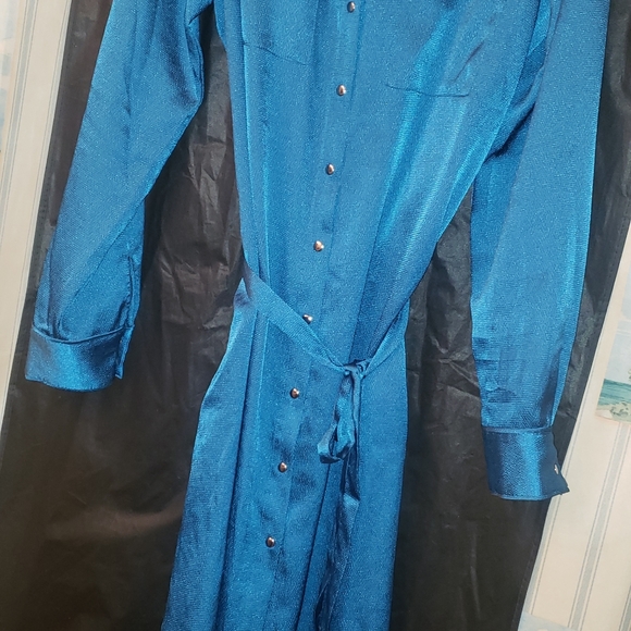 ⚠️SOLD ⚠️ Charmeuse Shirt Dress - Picture 4 of 10